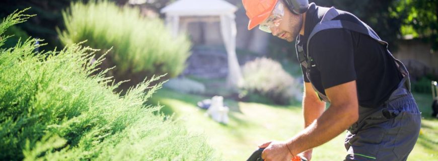 Landscape and Hardscapes in Denver CO